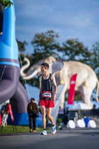 BIB: 
                            <button type="button" onclick="openModal(26541495)" class="btn btn-primary btn-sm float-right btn-popup" data-toggle="modal" data-target=".modal-high-quality">
                        <i class="fas fa-shopping-cart"></i> Add to Cart
                    </button>
                                            <button type="button" onclick="isThisMe(26541495, true)" class="btn btn-success btn-sm float-right btn-popup btn-isme hidden" data-toggle="tooltip" data-placement="bottom" title="นี่คือรูปของคุณใช่ไหม คลิกที่นี่เพื่อเอาเข้าอัลบั้ม">
                        <i class="fas fa-plus"></i> Add to album
                    </button>
                    <button type="button" onclick="isThisMe(26541495, false)" class="btn btn-warning btn-sm float-right btn-popup btn-isnotme hidden">
                        <i class="fas fa-ban"></i> Remove from album
                    </button>